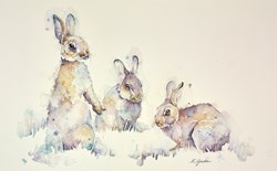 A Trio of Rabbits by Amanda Gordon - Original on Paper sized 19x13 inches. Available from Whitewall Galleries